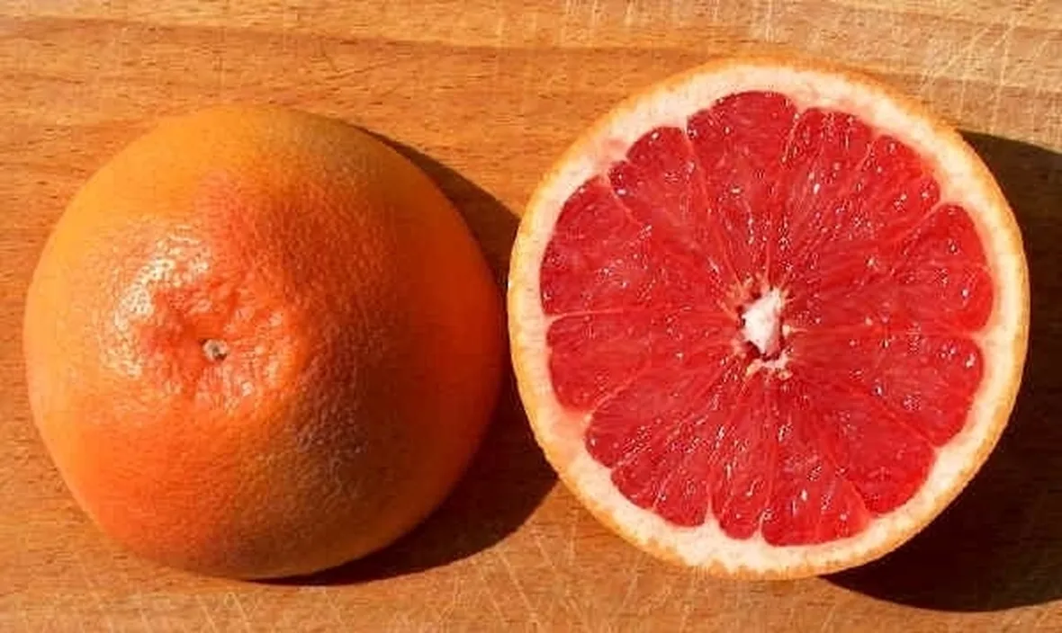 Coltivare il pompelmo