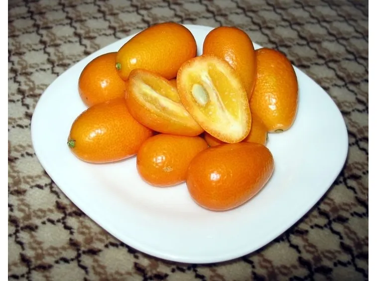 Cure colturali kumquat
