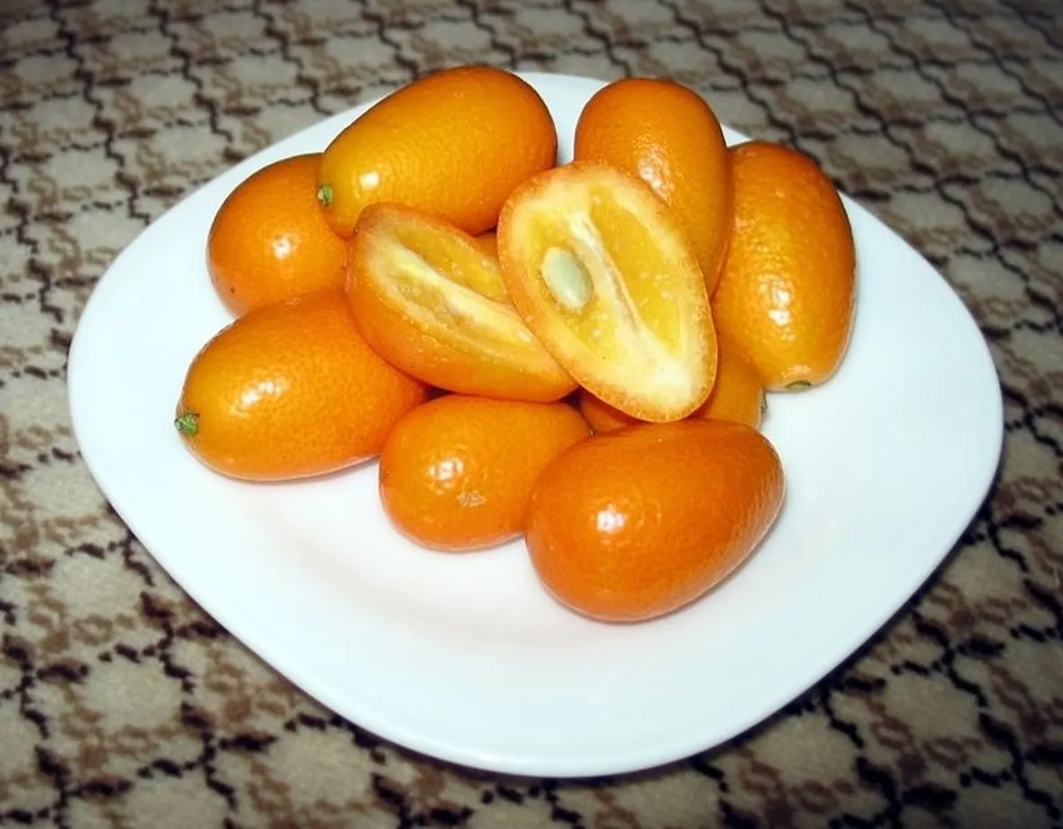 Cure colturali kumquat