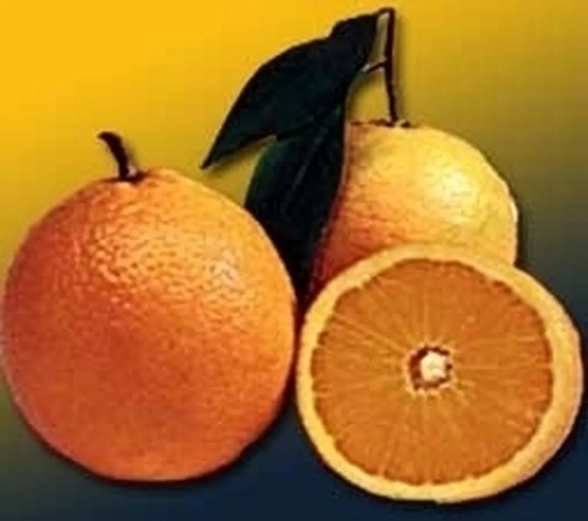 Domanda : albero arancio