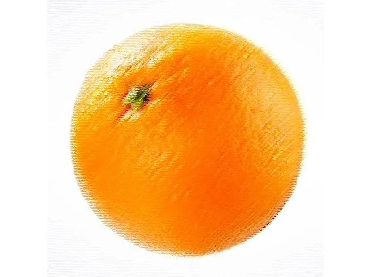 Domanda : Albero di arancio bruciato dal fuoco