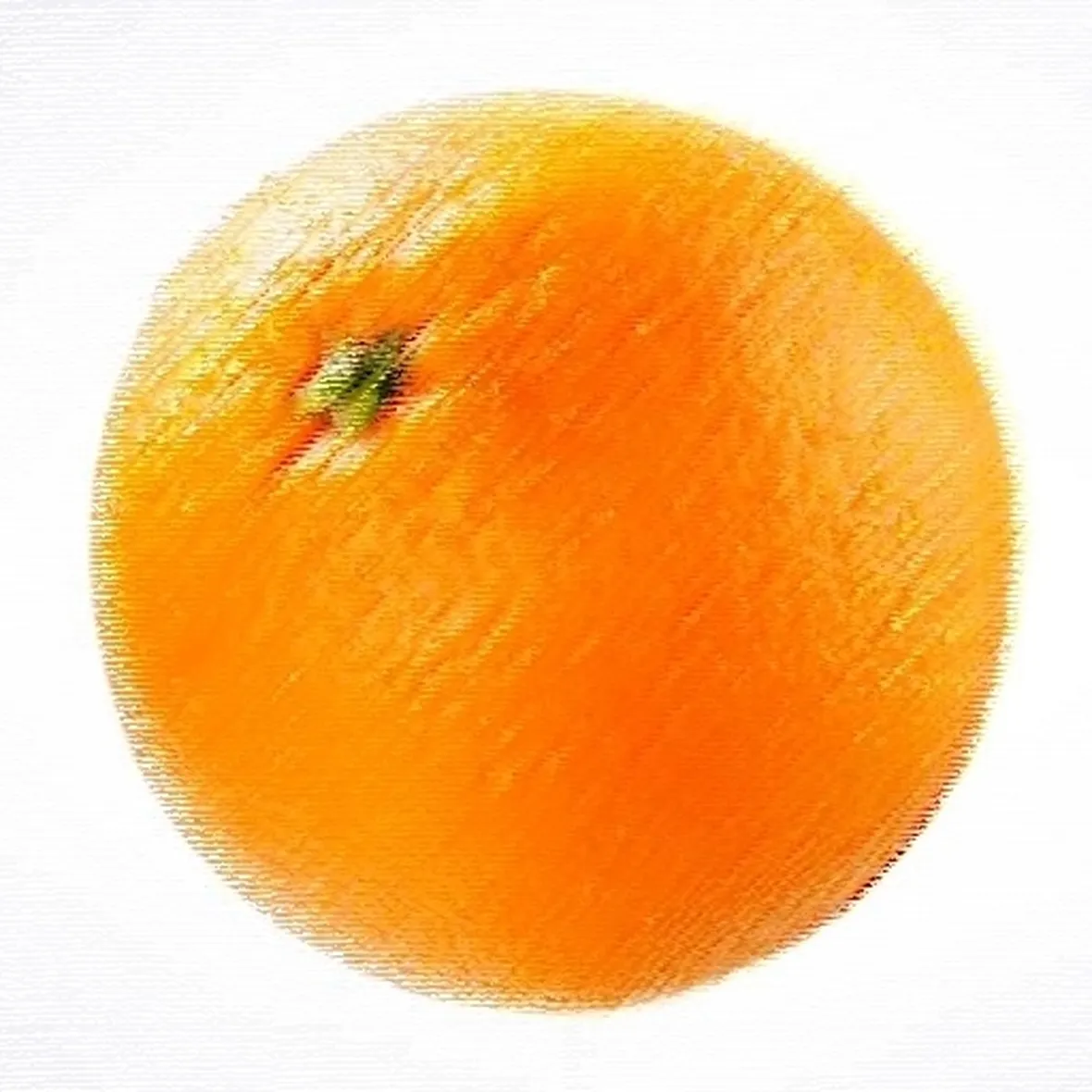 Domanda : Albero di arancio bruciato dal fuoco