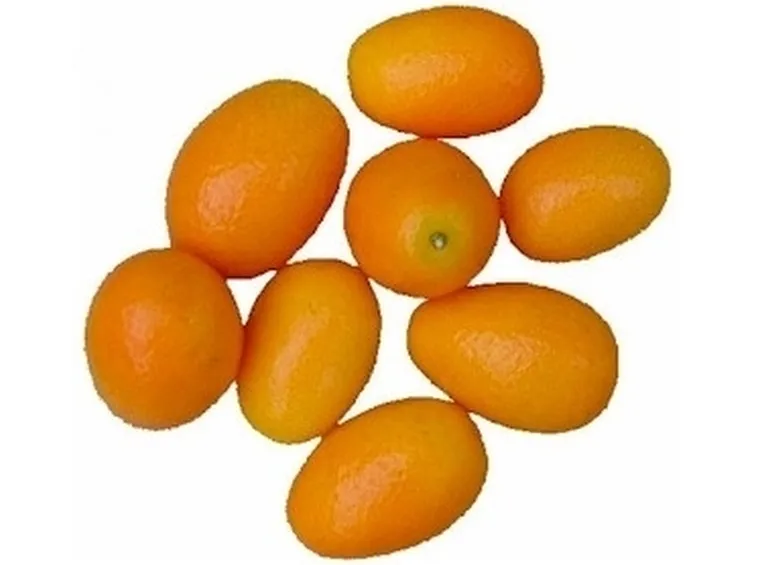 Domanda : kumquat