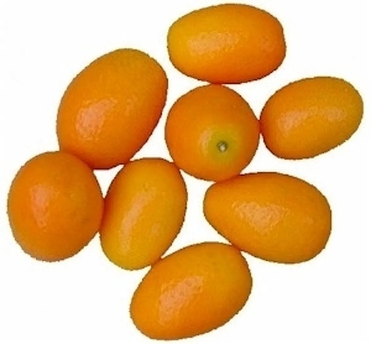 Domanda : kumquat