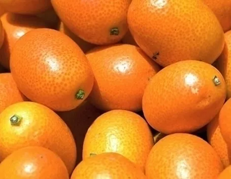 I kumquat