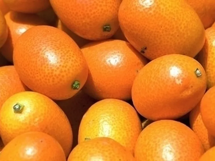 I kumquat
