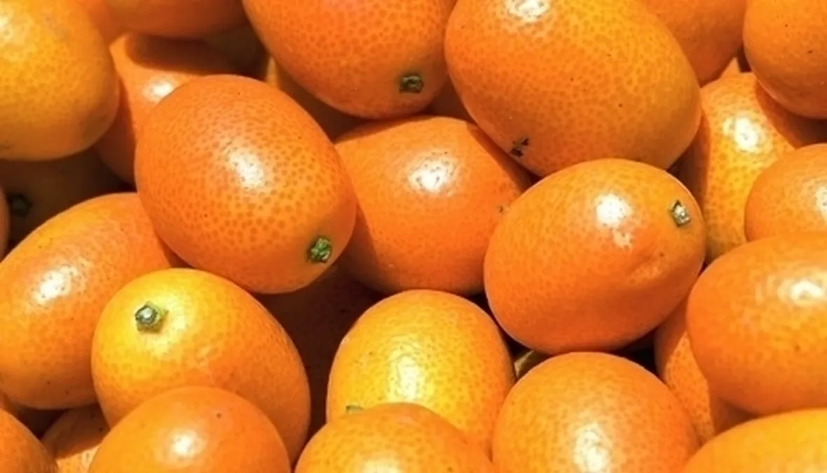 I kumquat