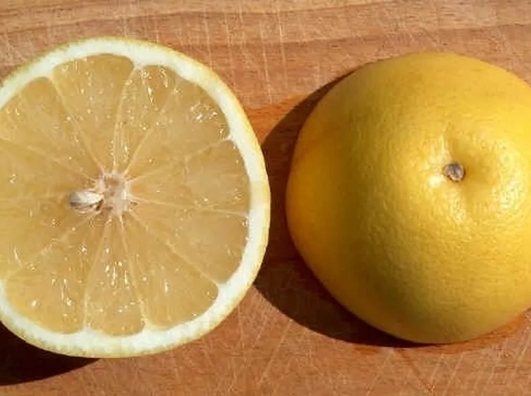 Il Pompelmo Generalità