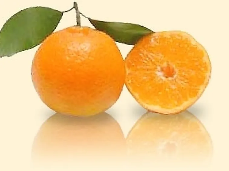 Mandarino-7