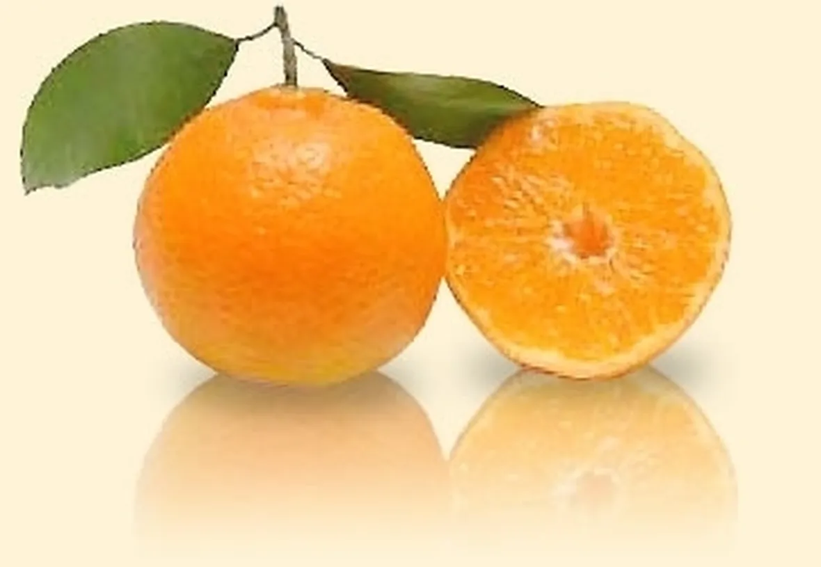 Mandarino-7