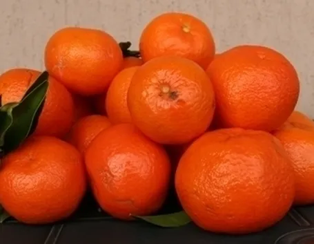 Mandarino
