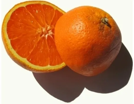 Risposta : Albero di arancio bruciato dal fuoco