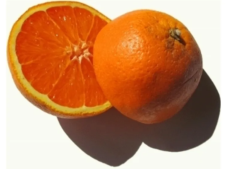 Risposta : Albero di arancio bruciato dal fuoco