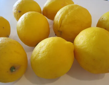 Risposta: Limone sul balcone