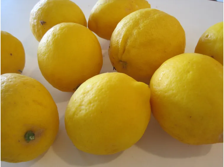 Risposta: Limone sul balcone
