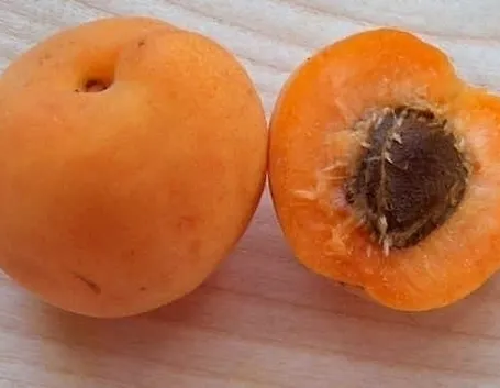 Albicocco