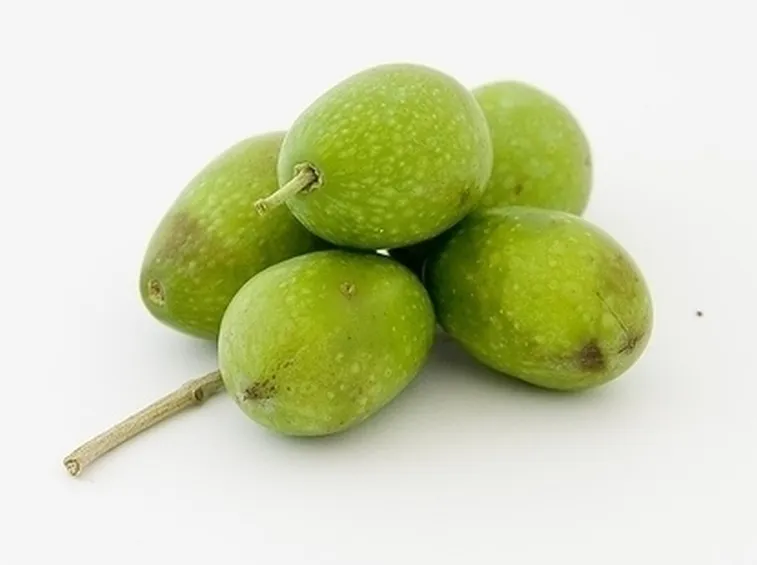L'Olivo