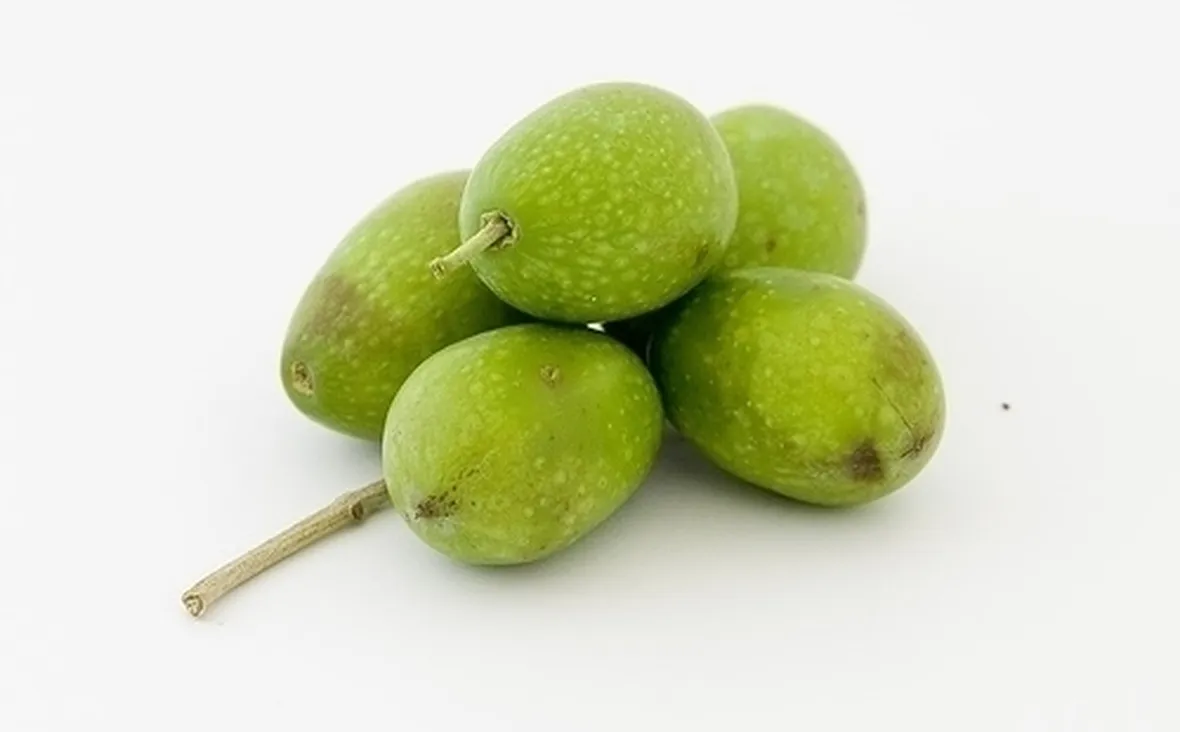 L'Olivo