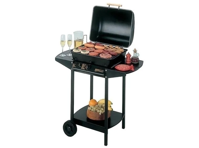 barbecue a gas-4