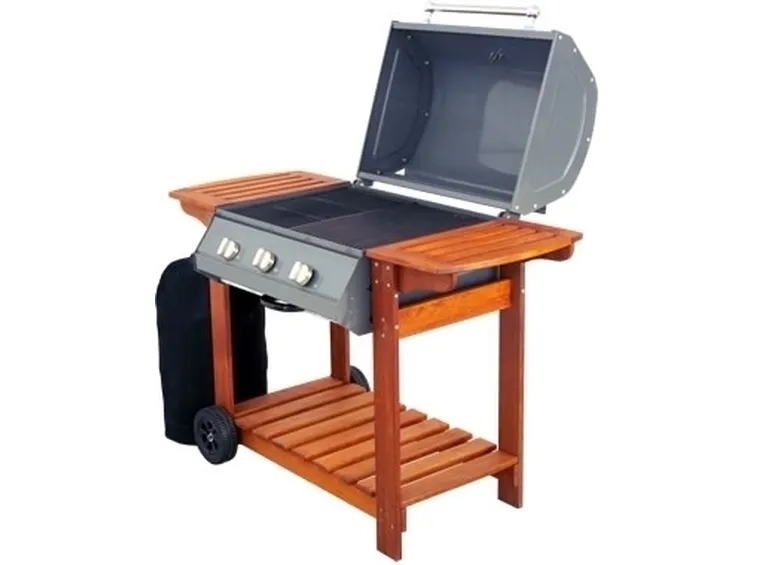 barbecue a gas-7