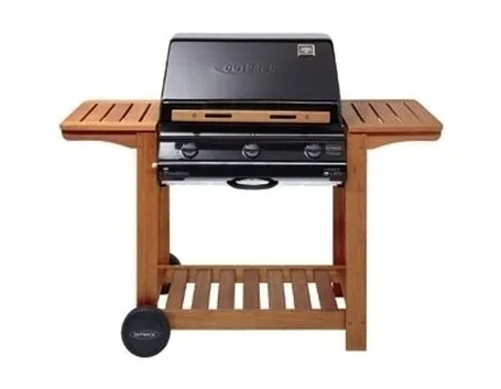 barbecue a gas