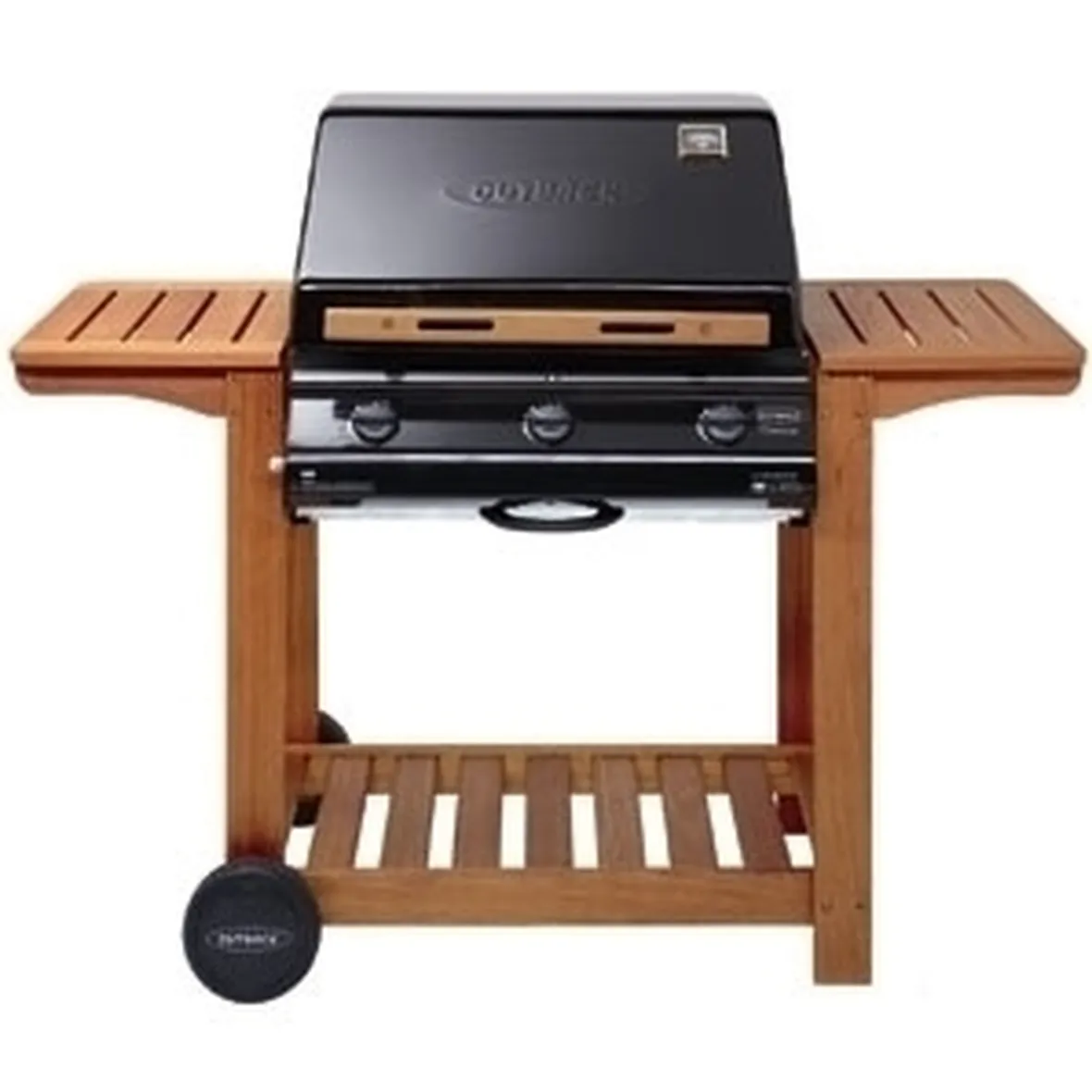 barbecue a gas