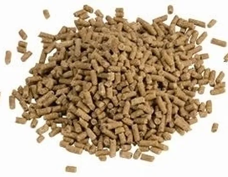 barbecue a pellet-3