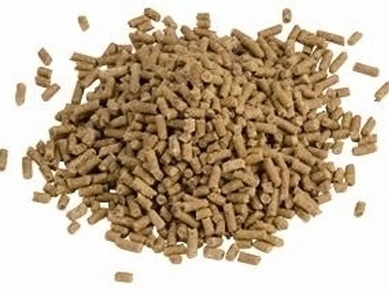 barbecue a pellet-3