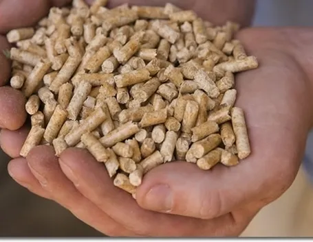 barbecue a pellet-5