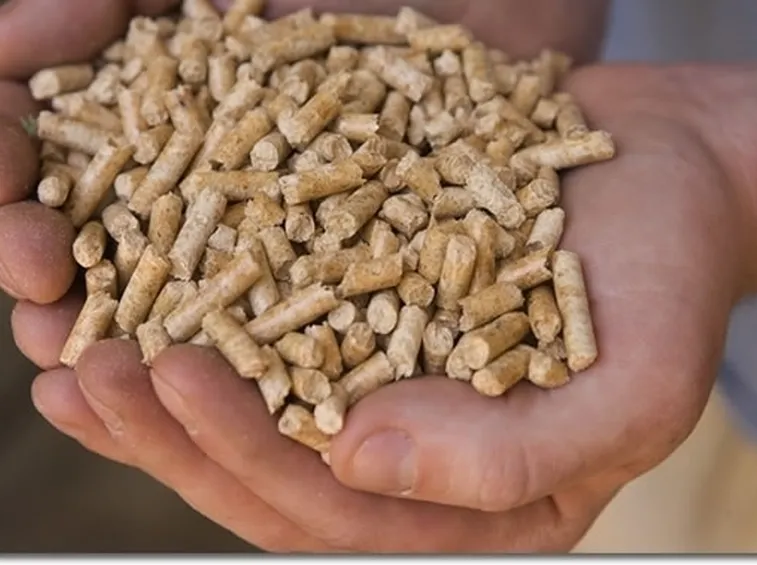 barbecue a pellet-5