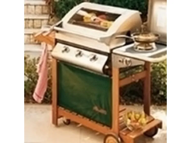 vendita barbecue-3
