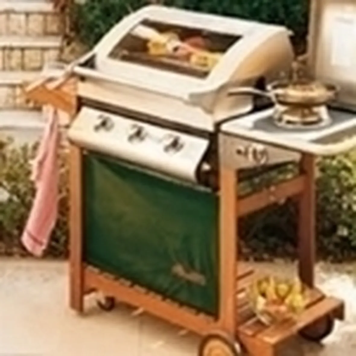 vendita barbecue-3