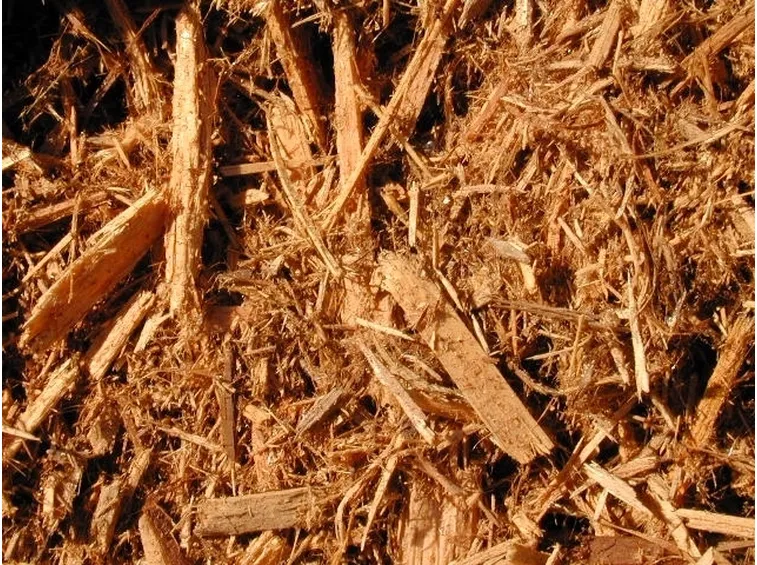 pacciamatura orto-2
