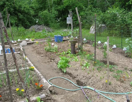 progetto di un orto-1
