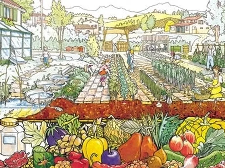 progetto di un orto-3
