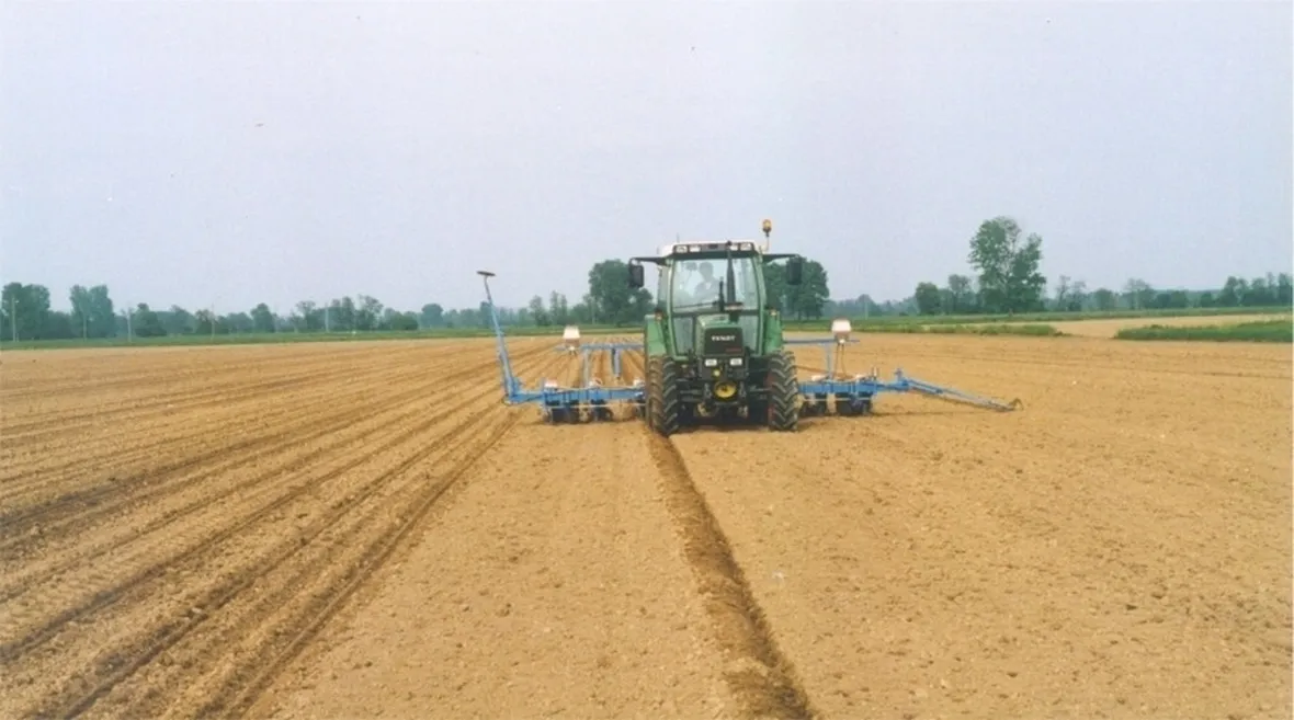 semina degli ortaggi