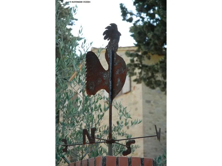 galletto segnavento-3