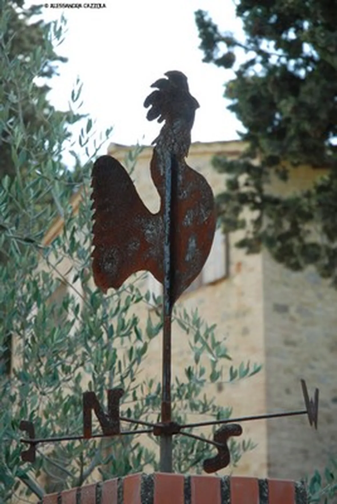 galletto segnavento-3