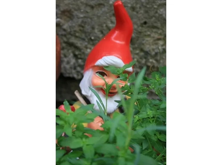 nani da giardino-1