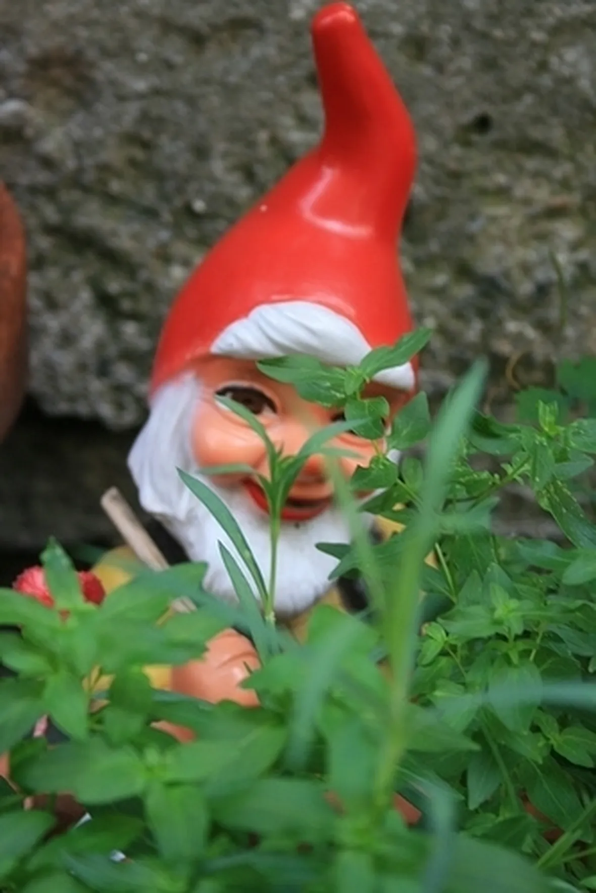 nani da giardino-1