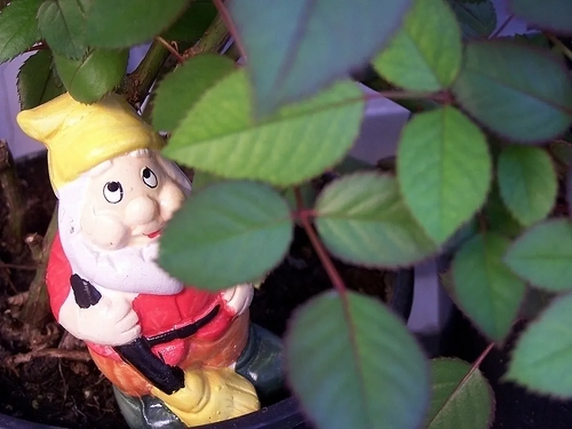nani da giardino