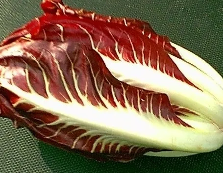 radicchio-6