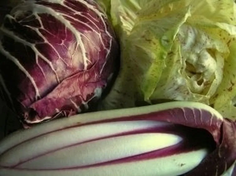 Risposta : radicchio e scarola riccia