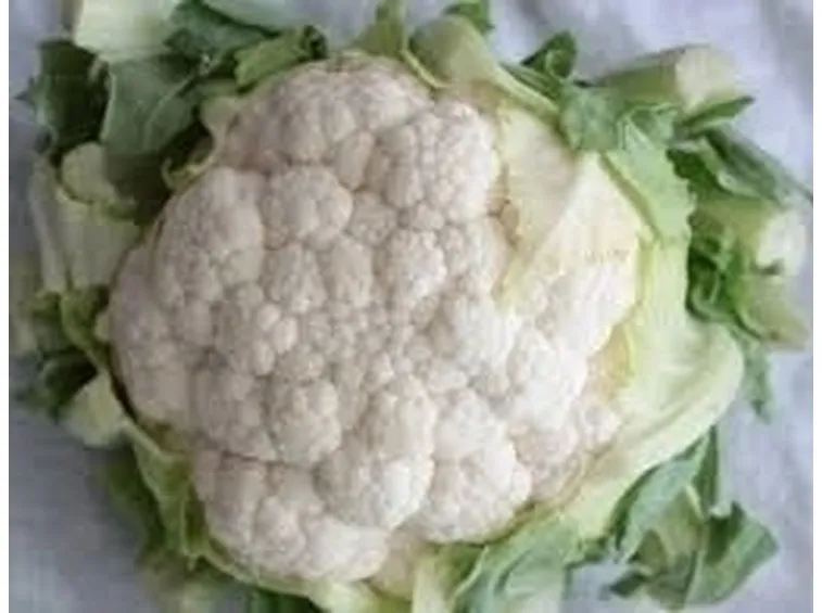 cavolfiore