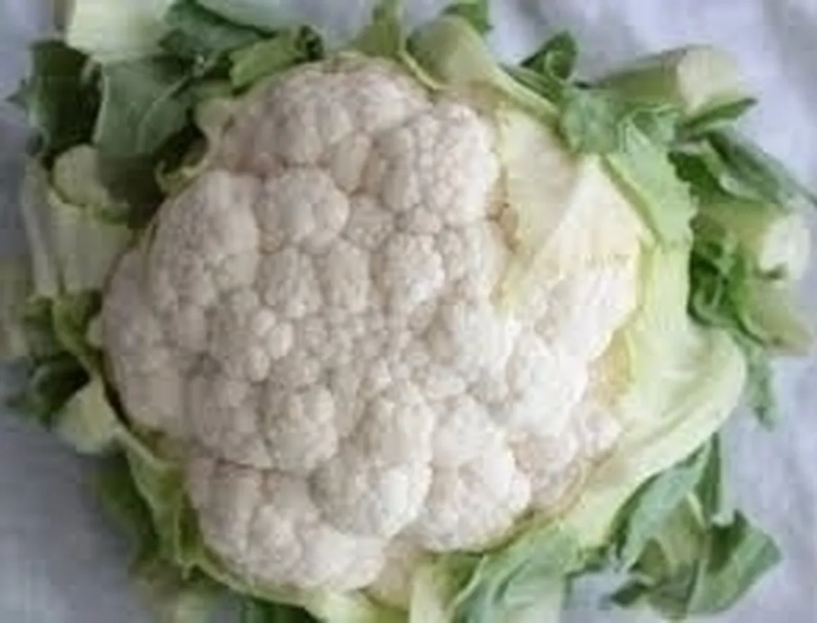 cavolfiore