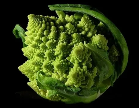 cavolo broccolo-2