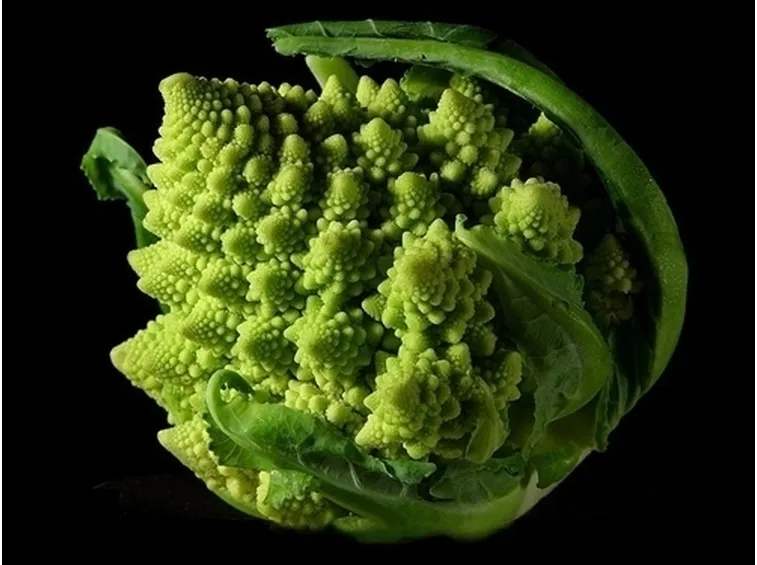 cavolo broccolo-2