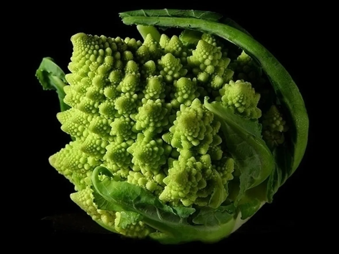 cavolo broccolo-2