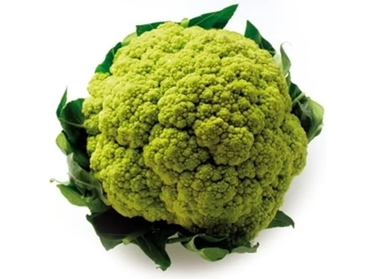 cavolo broccolo-4