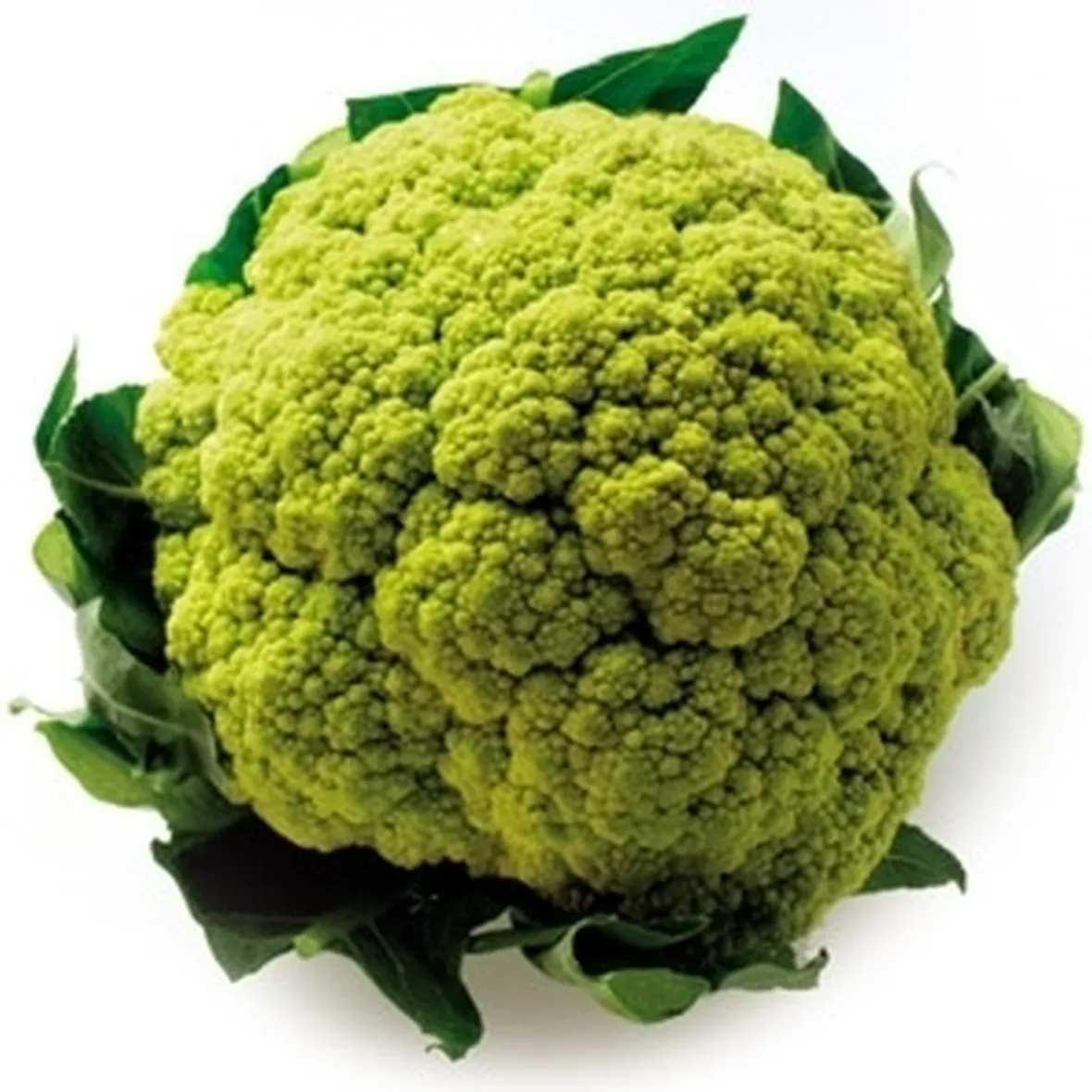 cavolo broccolo-4